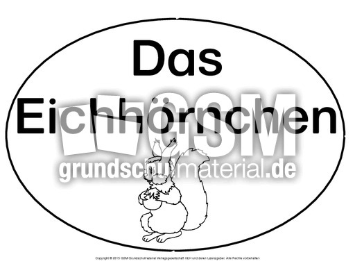 Mindmap-Eichhörnchen-B.pdf